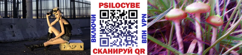 как найти наркотики  Жуков  Галлюциногенные грибы прущие грибы 